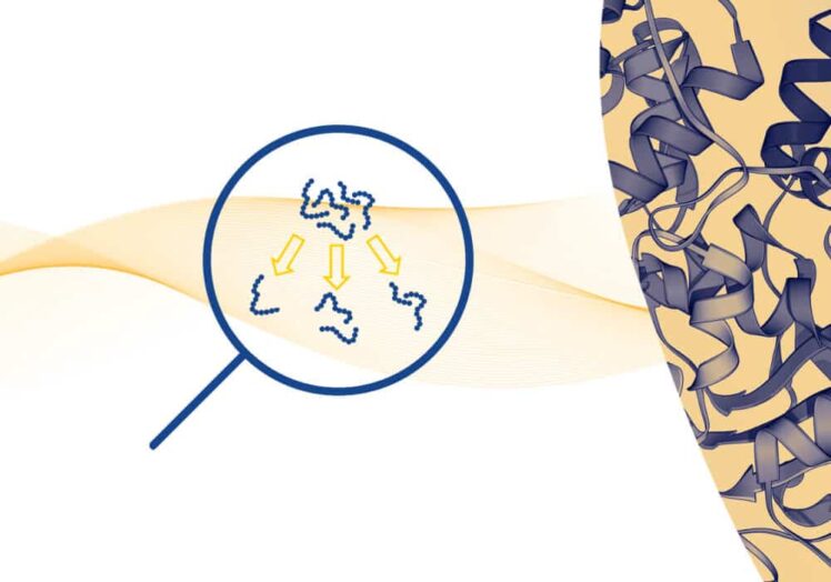 peptide fractionation 3 1 3 1.jpeg